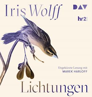 Cover for Iris Wolff · Lichtungen (CD)