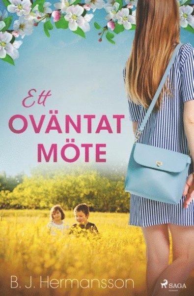 Cover for B. J. Hermansson · Ett oväntat möte (Book) (2019)