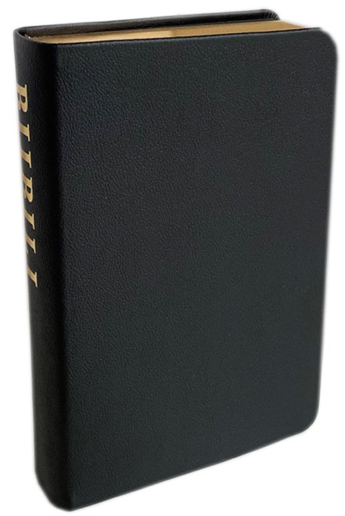Cover for Biibili (Leather Book) [1er édition] [Kunstskind] (2000)