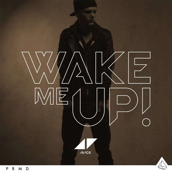 Cover for Avicii · Wake Me Up (SCD) (2013)