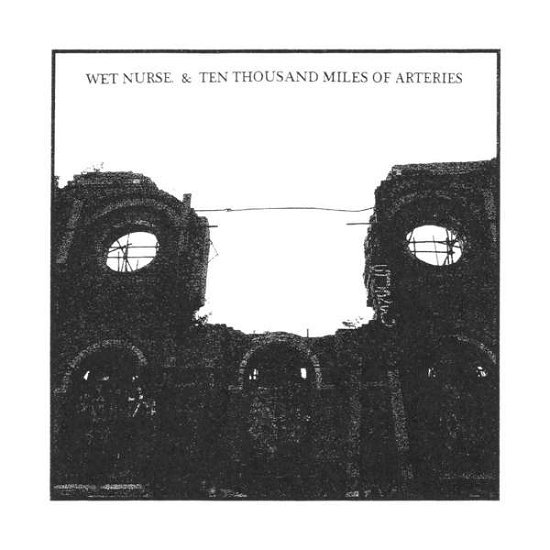 Cover for Wet Nurse / Ten Thousand Miles of Arteries · Split (CD) (2018)