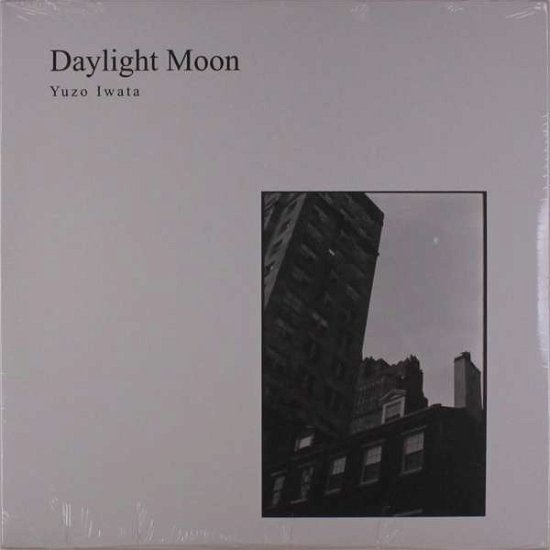 Cover for Yuzo Iwata · Daylight Moon (LP) (2019)