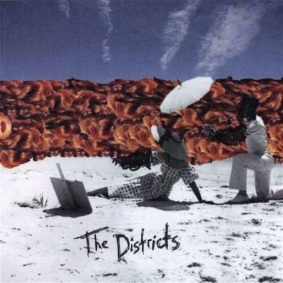 The Districts - The Districts - Musik - ROCK - 0767981142319 - 27 januari 2014