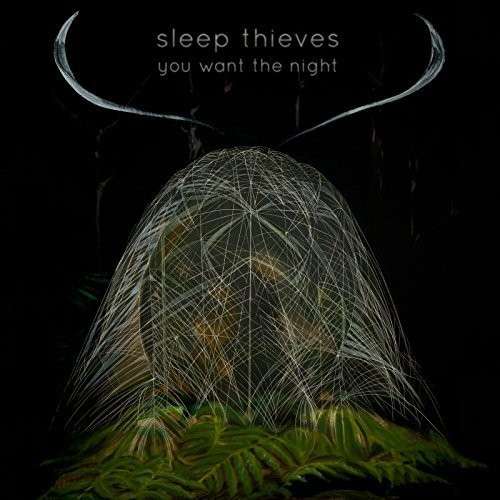 Cover for Sleep Thieves · You Want the Night (LP) (2014)