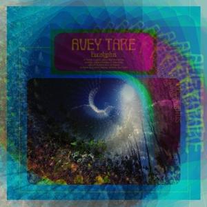 Cover for Avey Tare · Eucalyptus (LP) [Limited edition] (2017)