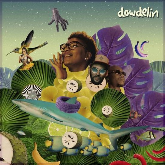 Cover for Dowdelin · Carnaval Odyssey (LP) [Coloured edition] (2018)