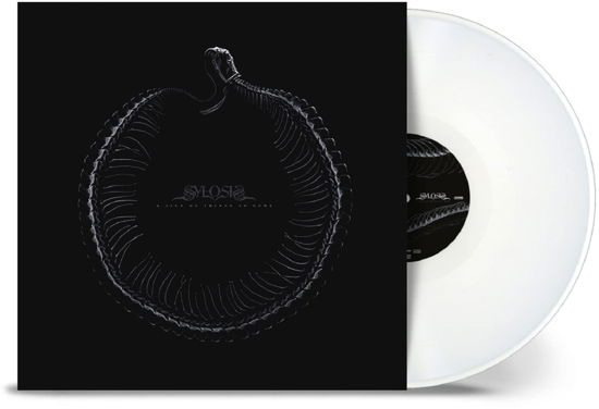 Cover for Sylosis · A Sign Of Things to Come (LP) (2023)