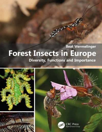 Cover for Wermelinger, Beat (Swiss Federal Institute WSL, Zurich, Switzerland) · Forest Insects in Europe: Diversity, Functions and Importance (Hardcover bog) (2021)