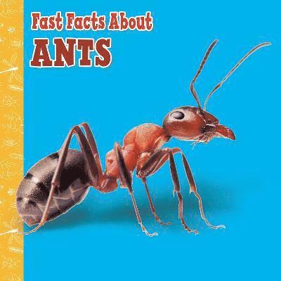 Cover for Lisa J. Amstutz · Fast Facts About Ants - Fast Facts About Insects and Spiders (Pocketbok) (2022)