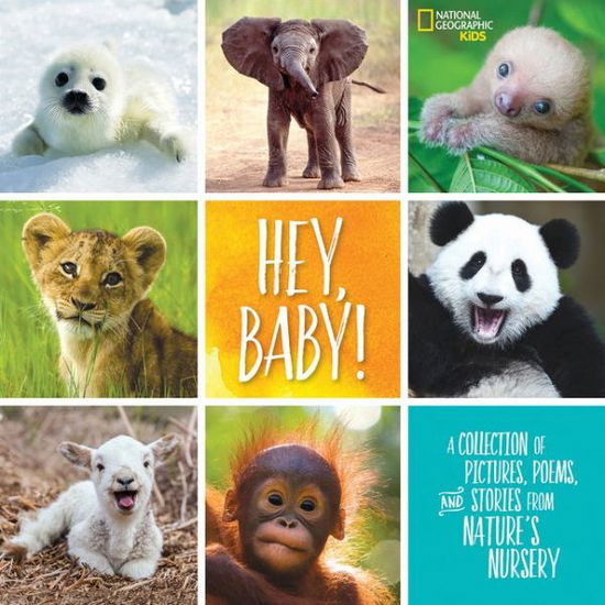 Cover for Stephanie Warren Drimmer · Hey, Baby! - Stories &amp; Poems (Hardcover Book) (2017)