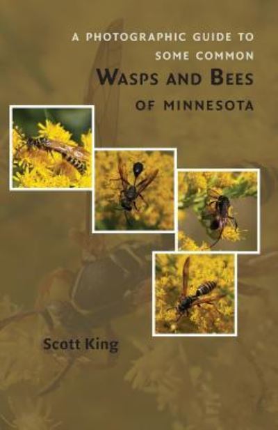 Cover for Scott King · A Photographic Guide to Some Common Wasps and Bees of Minnesota (Paperback Book) (2016)