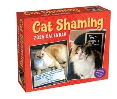 Cat Shaming 2025 Day-to-Day Calendar - Pedro Andrade - Produtos - Andrews McMeel Publishing - 9781524889319 - 13 de agosto de 2024