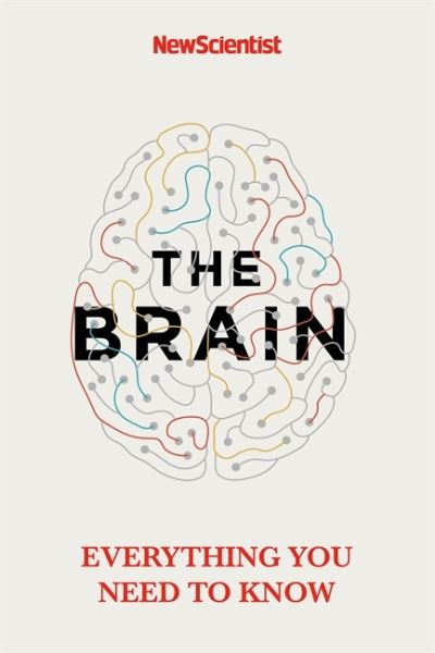 The Brain: Everything You Need to Know - New Scientist - Kirjat - John Murray Press - 9781529363319 - torstai 31. maaliskuuta 2022