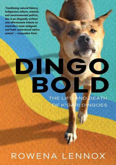 Cover for Rowena Lennox · Dingo Bold: The Life and Death of K'gari Dingoes - Animal Publics (Paperback Book) (2021)