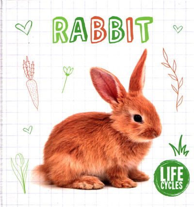 Rabbit - Life Cycles - Shalini Vallepur - Książki - BookLife Publishing - 9781786377319 - 28 lipca 2019