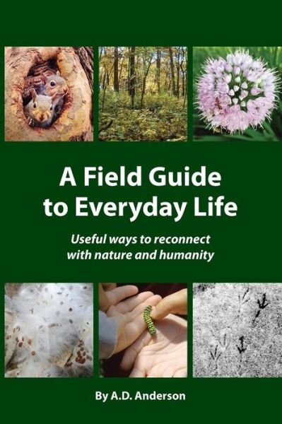 Cover for A D Anderson · A Field Guide to Everyday Life (Pocketbok) (2019)