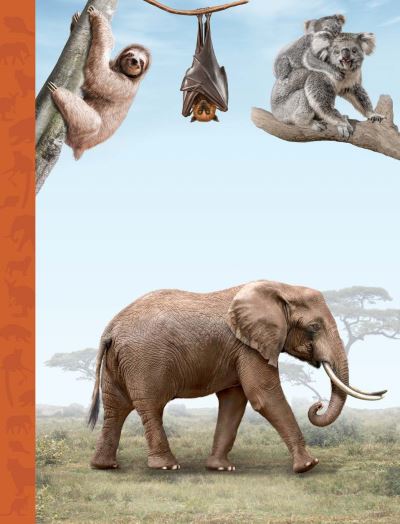 The Magnificent Book of Animals - The Magnificent Book of - Tom Jackson - Books - Weldon Owen Children's Books - 9781915588319 - May 4, 2023