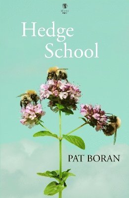 Cover for Pat Boran · Hedge School (Paperback Book) (2024)