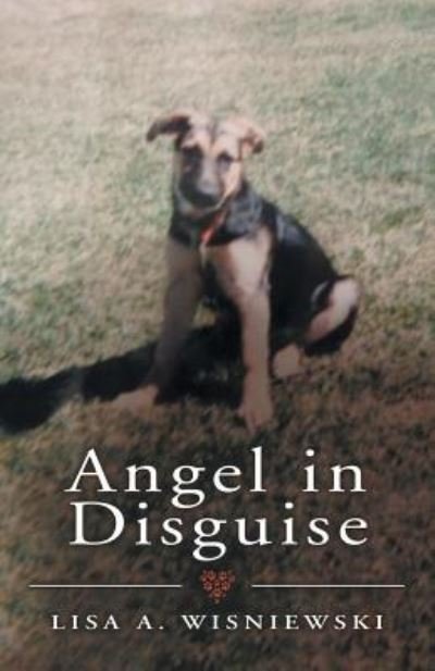 Cover for Author · Angel in Disguise (Pocketbok) (2019)
