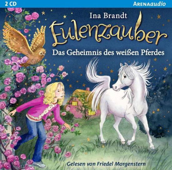 Cover for Brandt · Eulenzauber.13 Geheimnis,CD (Bog) (2020)