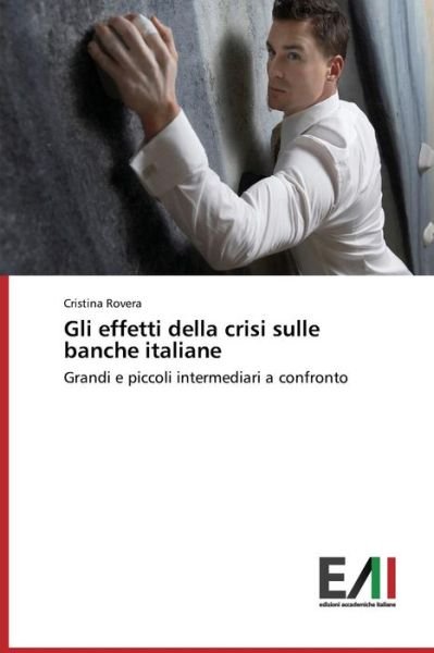 Cover for Rovera Cristina · Gli Effetti Della Crisi Sulle Banche Italiane (Taschenbuch) (2015)