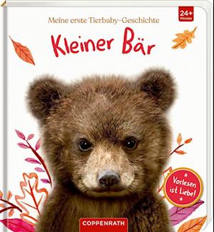 Cover for Amanda Wood · Meine erste Tierbaby-Geschichte: Kleiner Bär (Book) (2022)