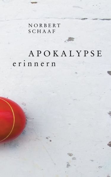 Cover for Schaaf · Apokalypse erinnern (Book) (2020)