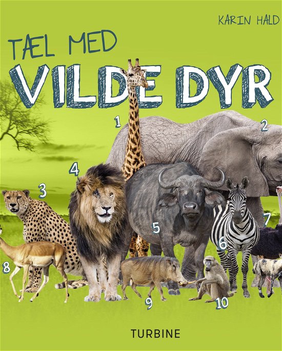 Cover for Karin Hald · Tæl med vilde dyr (Cardboard Book) [1.º edición] (2019)