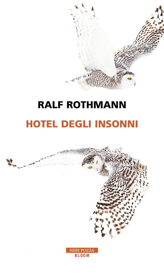 Cover for Ralf Rothmann · Hotel Degli Insonni (Book)