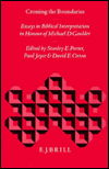 Cover for Stanley E. Porter · Crossing the Boundaries: Essays in Biblical Interpretation in Honour of Michael D. Goulder (Biblical Interpretation Series, Vol 8) (Gebundenes Buch) (1994)