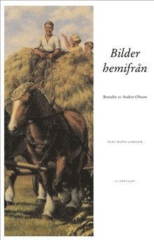 Cover for Mona Larsson · Bilder hemifrån : bonader av Anders Olsson (Book) (2004)