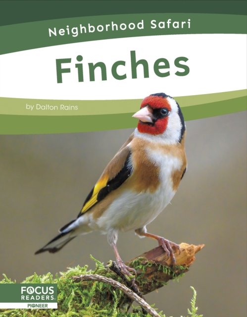 Cover for Dalton Rains · Finches - Neighborhood Safari Set 2 (Paperback Book) (2024)