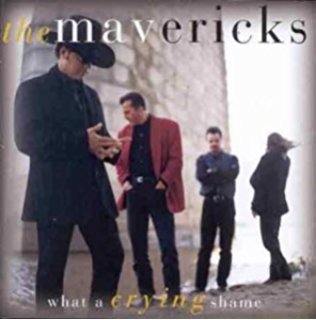 Cover for Mavericks · What A Crying Shame (CD) (1994)