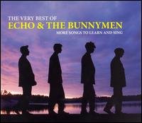 Cover for Echo &amp; The Bunnymen · Very Best Of + Dvd (CD) (2007)