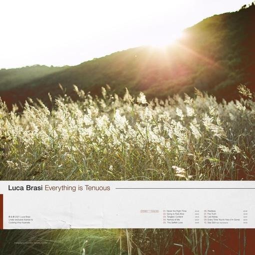 Everything Is Tenuous - Luca Brasi - Música - SONY MUSIC ENTERTAINMENT - 0194398227320 - 12 de marzo de 2021