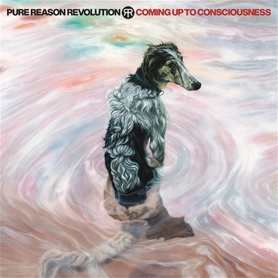 Pure Reason Revolution · Coming Up To Consciousness (DVD) (2024)