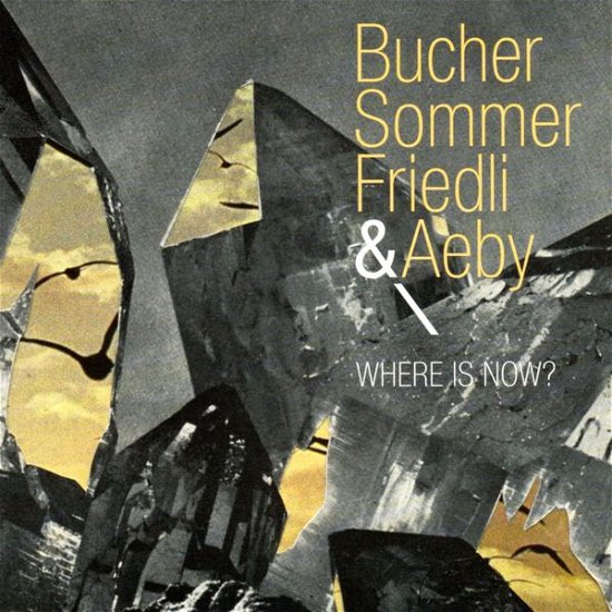 Cover for Bucher / Sommer / Friedli / Aeby · Where Is Now? (CD) (2014)