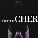 Tribute To Cher - V/A - Musik - BIG EYE MUSIC - 0666496400320 - 24. oktober 2000