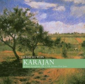 Cover for Karajan / Concertgebouw Orchestra · Symphony No.1, Etc. (CD) (2003)