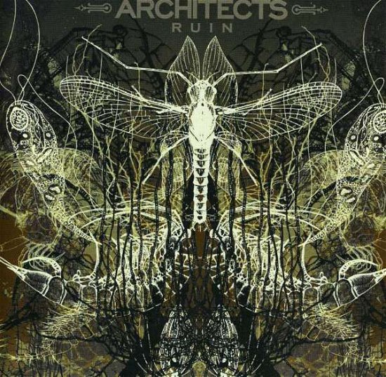 Cover for Architects · Ruin (CD) [Enhanced edition] (2008)