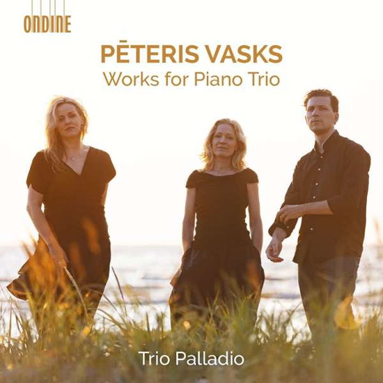 Cover for P. Vasks · Works for Piano Trio (CD) (2020)