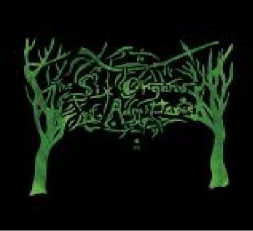 Cover for Six Organs Of Admittance · Rtz (CD) (2009)
