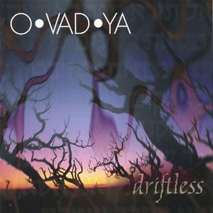Cover for Ovadya · Driftless (CD) (2003)