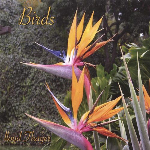 Cover for Lloyd Thayer · Birds (CD) (2006)