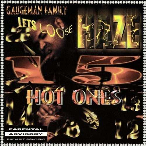 Cover for Haze · 15 Hot Ones (CD) (2010)