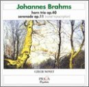 Cover for Czech Nonet · Czech Nonet - Horn Trio Serenade (CD) (2000)