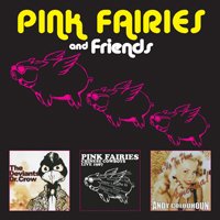 Pink Fairies · Pink Faries and Friends (CD) (2020)