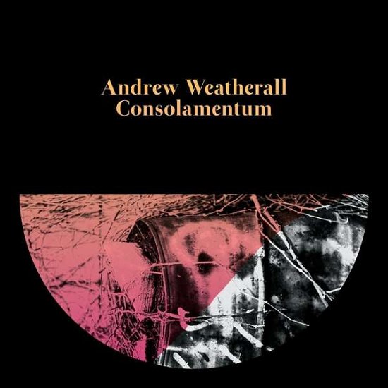 Cover for Andrew Weatherall · Consolamentum (CD) (2016)