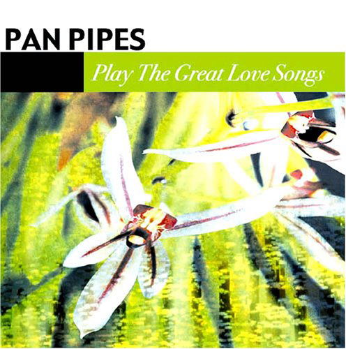 Play The Great Love Songs - Pan Pipes - Music - FABULOUS - 0824046018320 - June 6, 2011