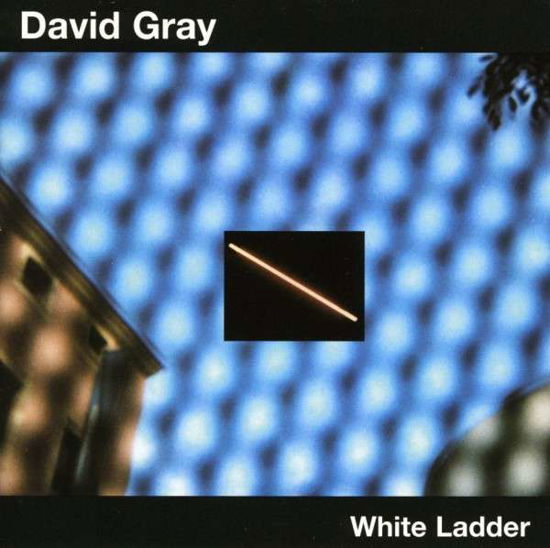 David Gray-white Ladder - David Gray - Muziek - ATRD - 0880882159320 - 21 maart 2000